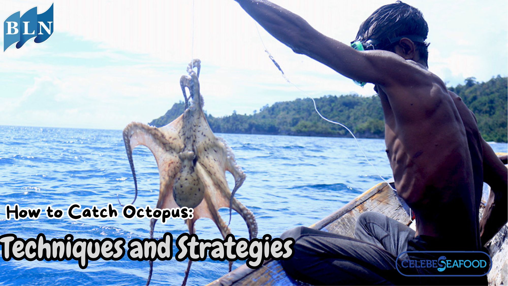 This is How to Catch Octopus: Techniques and Strategies